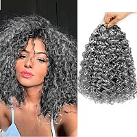 Gogo Curl Crochet Hair 10 Inch Short Curly Crochet Hair For Black Women Beach Curl Water Wave Curly Crochet Braids Hair Deep Wa