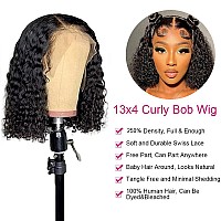 Legendhair 250 Density Short Curly Bob Wigs 13X4 Hd Lace Front Human Hair Wigs Brazilian Virgin Kinky Curly Wigs For Black Wome