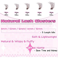 Brown Lash Clusters Eyelash Extensions 280Pcs Fluffy Eyelash Clusters Lash Extensions 816Mm D Curl Wispy Individual Lashes