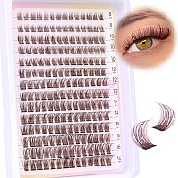 Brown Lash Clusters Wispy Natural Eyelash Clusters Eyelash Extensions 196Pcs D Curl Diy Individual Lashes Extensions