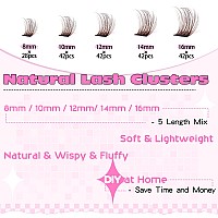 Brown Lash Clusters Wispy Natural Eyelash Clusters Eyelash Extensions 196Pcs D Curl Diy Individual Lashes Extensions