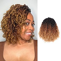 Toyotress Yanky Twist Crochet Hair 6 Inch 8 Packs 30 Strandspcs Pretwisted Fluffy Spring Mini Twist Short Bob Passion Twis