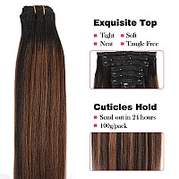 Sassina Remy Yaki Straight Clip In Hair Extensions Human Hair Clip In Hair Extensions For African American Women Natural Black T