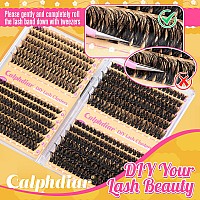 Calphdiar Lash Clusters 40D60D80D100D Eyelash Clusters 474Pcs Individual Lashes D Curl Cluster Eyelash Extensions 816Mm Wisp