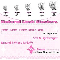 Ruairie Lash Clusters Eyelash Extensions Wispy Eyelash Clusters Lash Extension 110Pcs 816Mm Natural Diy Individual Lashes