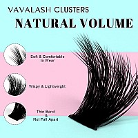 Vavalash Lash Clusters 100D 1020Mm Cluster Lashes Wispy Volume Individual Lashes Lash Bond And Seal Glue Lash Tweezer For Diy