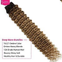 Hntl Ombre Deep Wave Human Hair Bundles 12A Wet And Wavy Human Hair Bundles For Black Women T427 Ombre Brown To Honey Blonde Re