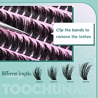 Fluffy Lash Clusters Wispy D Curl Eyelash Clusters 220Pcs Diy 80D Individual Lashes Cluster Eyelash Extensions 1016Mm Natural C