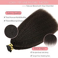 Loxxy I Tip Human Hair Extensions Kinky Straight 20Inch Coarse Yaki Pre Bonded Fusion Stick Natural Black Itip Extensions Human