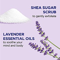 Dr Teals Shea Sugar Scrub Lavender Essential Oils 19 Oz Pack Of 3