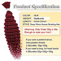 Human Braiding Hair 20 Inch Deep Wave Bulk Human Hair For Braiding No Weft 100 Unprocessed Curly Micro Human Hair Braiding Hair