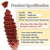 Human Braiding Hair 20 Inch Deep Wave Bulk Human Hair For Braiding No Weft 100 Unprocessed Curly Micro Human Hair Braiding Hair