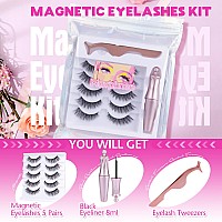 Magnetic Eyelashes With Eyeliner 5 Pairs Eyelashes Natural Look Cat Eye Lashes Magnetic Lashes With Applicator And Magnetic Eyel