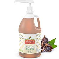 Natural Shampoo For Oily Hair Scalp Organic Raw Wildcrafted With Probiotics Hypoallergenic Sulfate Free Herbal Shampoo