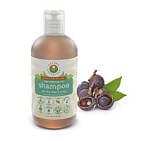 Natural Shampoo For Dry Hair Scalp Organic Raw Wildcrafted With Probiotics Hypoallergenic Sulfate Free Hydrating Shamp