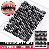 Bodermincer Blackcolored Cluster Lashes 240Pcs 20D40D Diy Eyelash Extension D Curl Long Individual Lashes Mixed Tray Faux Mink