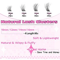 Lash Clusters Eyelash Extensions Wispy Eyelash Clusters Lash Extensions 120Pcs Individual Lashes Natural D Curl Lash Clusters By