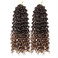 Gogo Curl Crochet Hair For Black Women Beach Curl Crochet Hair Bohemian Crochet Braids Natural Black Deep Wave Braiding Hair Ext