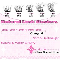 Lash Clusters Wispy Eyelash Clusters Eyelash Extensions 100Pcs 816Mm Fluffy Lash Clusters Lash Extension Natural Individual Las