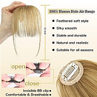 Mymyda Clip In Bangs 100 Real Human Hair Extensions Clip On Wispy Bangs For Women Fringe With Temples Hairpieces Light Blonde C