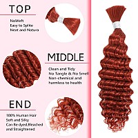 Ynsnr Ginger Human Hair Braiding Hair 22 Inch 350 Deep Wave Braiding Hair Deep Wave Bulk Human Hair 100 10A Brazilian Bariding