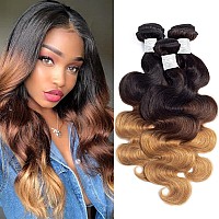 Wingirl 10A Ombre Human Hair Bundles 100 Unprocessed Virgin Human Hair Extensions 3 Tone 1B 4 27 Color Ombre Brazilian Body Wav