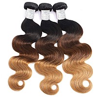 Wingirl 10A Ombre Human Hair Bundles 100 Unprocessed Virgin Human Hair Extensions 3 Tone 1B 4 27 Color Ombre Brazilian Body Wav