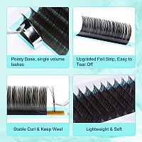 Df Touchjoy Lash Extension Volume Eyelashes Extensions 007 D 2025Mm Lash Tray Individual Lash Extensions Classic Lash Extensio