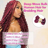 Deep Wave Bulk Human Hair For Braiding Hair 100 Unprocessed Brazilian Virgin Human Hair 10A Grade Human Hair Extensions 2 Pcs P