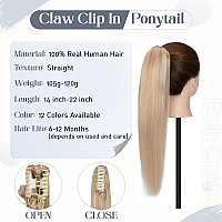 Rich Choices Claw Clip Ponytail Extension Human Hair Real Hair Ponytail Extension Balayage Jet Black 20 Inch 120G One Piece Clip