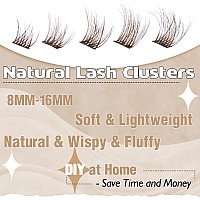 Brown Lash Clusters Wispy Eyelash Clusters Eyelash Extensions 100Pcs Fluffy Cluster Lashes Extensions 816Mm Natural Individual