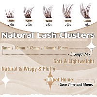 Brown Lash Clusters Wispy Cluster Eyelash Extensions 120Pcs Natural Eyelash Clusters Lash Extensions 816Mm Fluffy Diy Individua