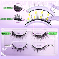 Calphdiar Magnetic Eyelashes With Applicator Manga Magnetic Lashes Magnetic Eyelashes Without Eyeliner Reusable Natural Magnetic