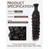 Human Braiding Hair Water Wave Bulk Human Hair For Braiding 100G 20 Inch Deep No Weft 10A Brazilian Virgin Curly Human Hair Exte