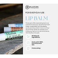 Plantlife Herbal Lip Balm - We Blend the Finest Olive Oil with Organic Beeswax to Create the Most Soothing Lip Balm - Made in California