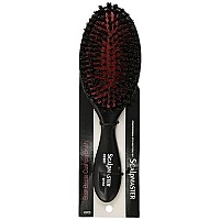 Scalpmaster Boar Bristle Cushion Hair Brush