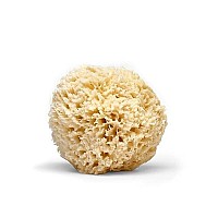 LATHER Natural Sea Wool Sponge | Self Care | Shower and Bath Sponge | Natural Loofah | Sea Sponge for Body Care | One Large Sea Sponge Perfect for Facial Cleansing and Body Wash Sponge