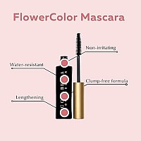 Ecco Bella Flowercolor Plant Based Vegan Mascara (Black)