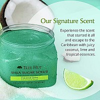 Tree Hut Shea Sugar Scrub, Coconut Lime, 18 Ounce (Pack of 3)