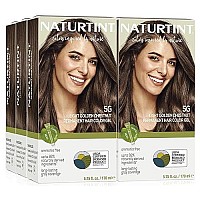 Naturtint Permanent Hair Color 5G Light Golden Chestnut (Pack of 6), Ammonia Free, Vegan, Cruelty Free, up to 100% Gray Coverage, Long Lasting Results