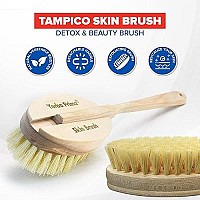 Yerba Prima Tampico Dry Skin Brush for Exfoliating and Blood Stimulation (Pack of 3)