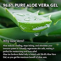 ALOE UP Ice Aloe Vera Gel - Beach Essential Aloe for Sunburn Relief/After Sun Pure Aloe Gel Eases Pain from Burns or Stings/Safe for Kids/Biodegradable, Cruelty Free, made in USA / 4 oz