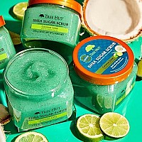 Tree Hut Shea Sugar Body Scrub Coconut Lime 18 oz