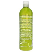 Tigi Bed Head Urban Antidotes Renergize Conditioner, 25.36 Fl Oz