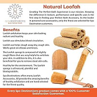 Natural Loofah (Loofa, Lufa) Back Strap Terry Cloth Back Spa Destinations Bath And Shower