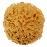 Natural Sea Wool Sponge 4-5 by Spa Destinations  Amazing Natural Renewable ResourceCreating The in Perfect Bath and Shower Experience