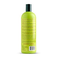 ORS Olive Oil Professional Neutralizing Shampoo 33.8 Ounce (Pack of 1)