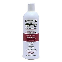 Stony Brook Unscented Shampoo ( 1x16 OZ)