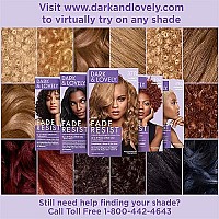 Dark & Lovely Color 384 Light Golden Blonde (3 Pack)