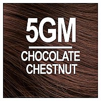 Naturtint Permanent Hair Color 5GM Chocolate Chestnut (Pack of 6), Ammonia Free, Vegan, Cruelty Free, up to 100% Gray Coverage, Long Lasting Results